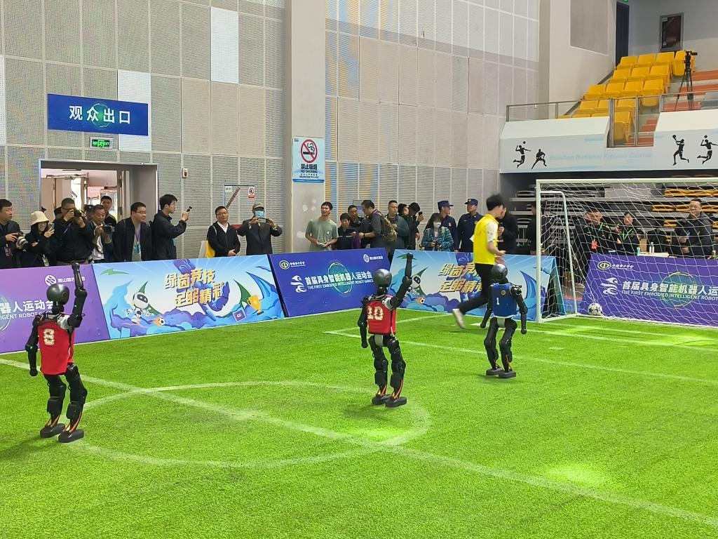 为什么棒球是统计学家最热衷研究的职业体育项目